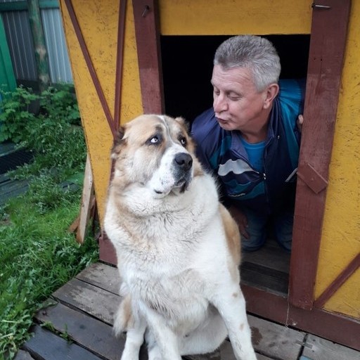 Анатолий, 56 лет, Великие Луки