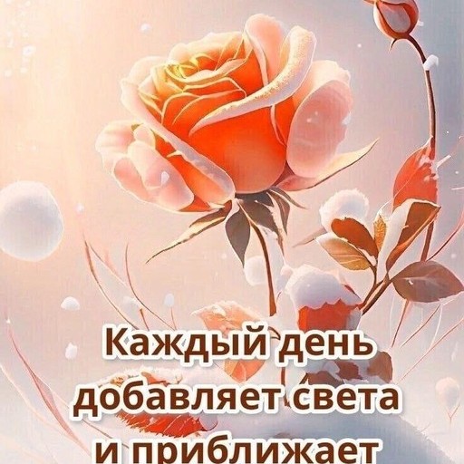 Марика45, Суворовская