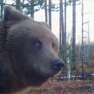 Олег, 32 года, Кимры
