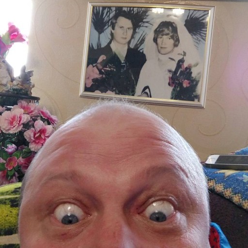 Вит29, Лесной