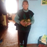 Галина, 56 лет, Воронеж