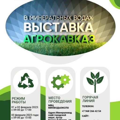 скиппи, 56 лет, Нальчик