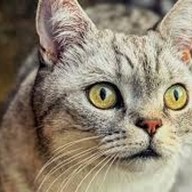 Дмитрий, 34 года, Кострома