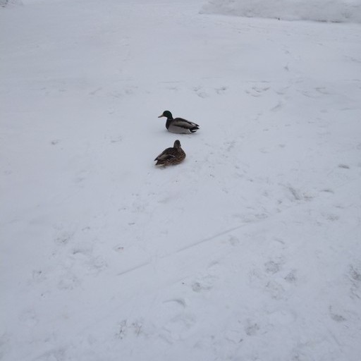 Оксана47, Рыбинск