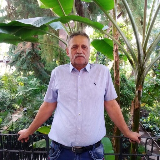 Владимир, 63 года, Александровское