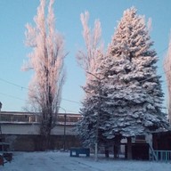 Элли, 38 лет, Нальчик