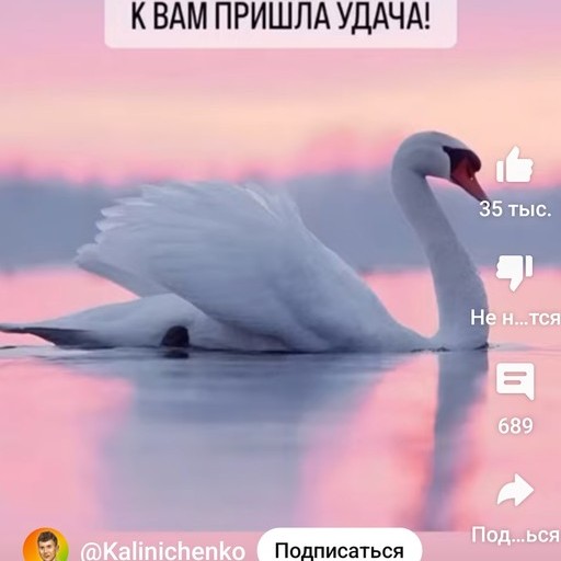Сеня, 41 год, Луганск