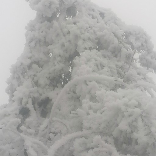 Сергей18, Красный луч (Луганская обл)