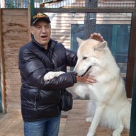Владимир, 59 лет, Выборг