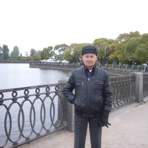Василий, 79 лет, Выборг