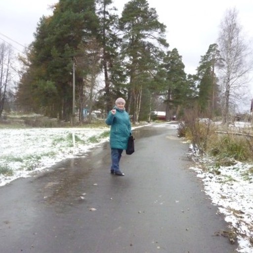 Нина, 66 лет, Вязьма