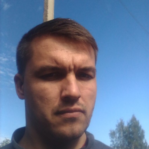Николай, 39 лет, Демянск