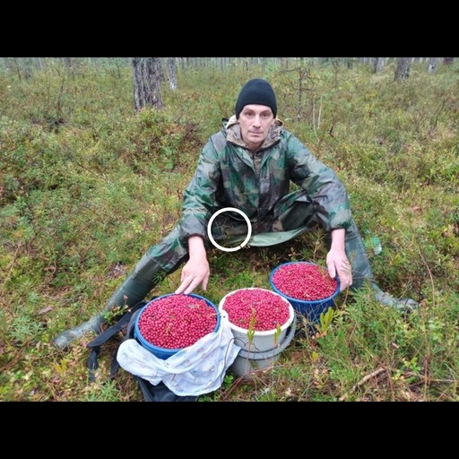 Алексей, 47 лет