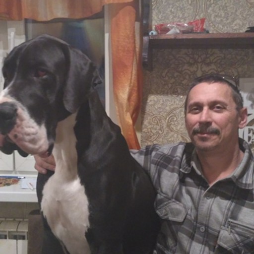 Эдик, 56
