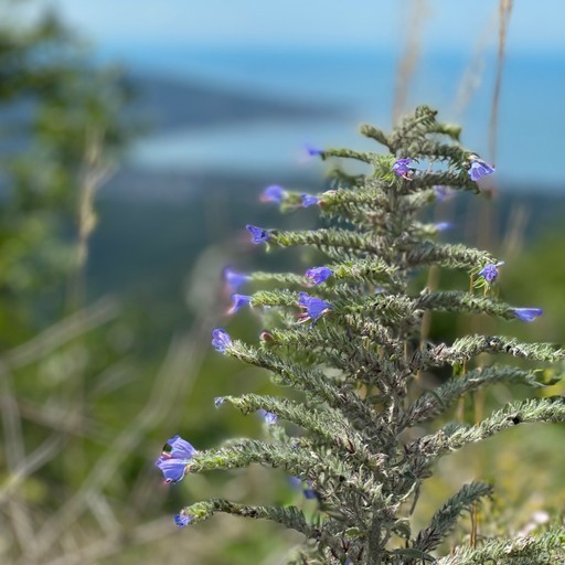 Екатерина38, Сыктывкар