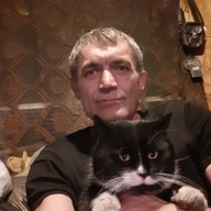 Вова, 48 лет, Городище