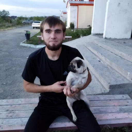 Артем, 25 лет, Липецк