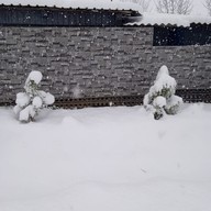 Евгений, 21 год, Уссурийск