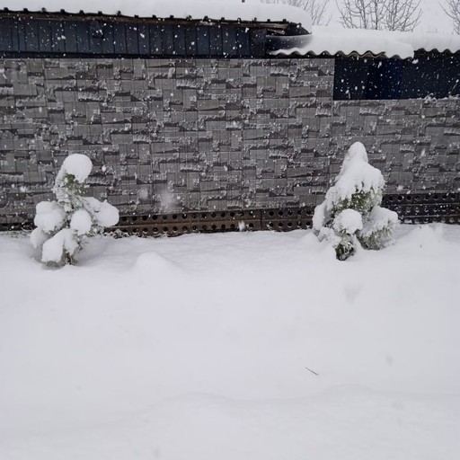 Евгений, 21 год, Уссурийск