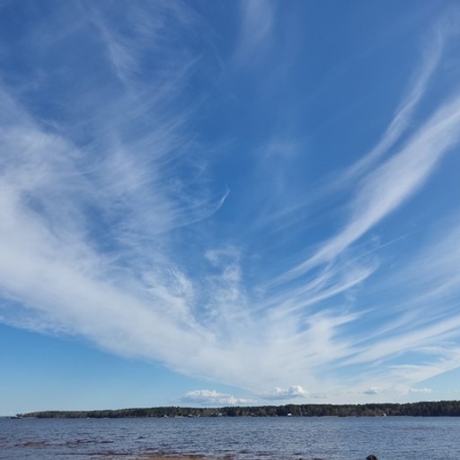 Вячеслав44, Петрозаводск