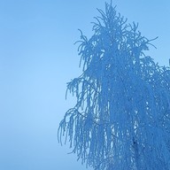 Игорь, 39 лет, Курск
