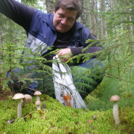 Андрей, 65 лет, Ломоносов