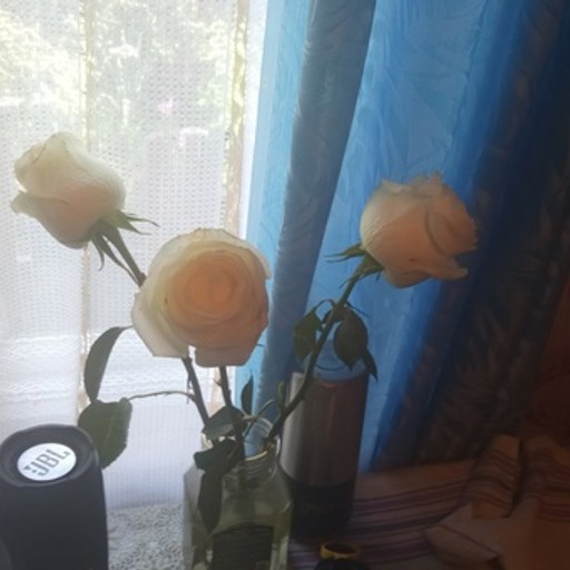 Олег, 44 года, Брест