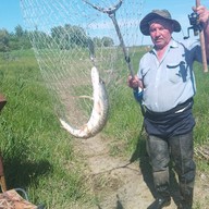 михаил, 73 года, Бузулук