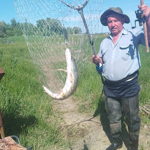 михаил, 73 года, Бузулук