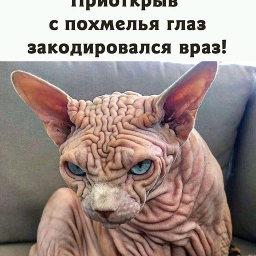 Алексей48, Калининград