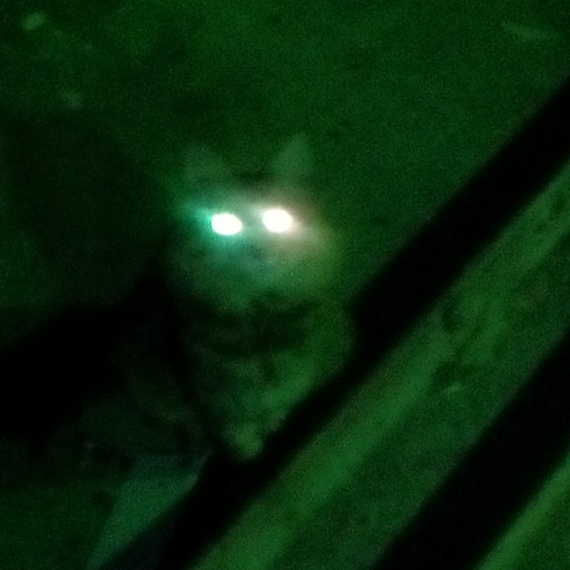 Сергей26, Шентала