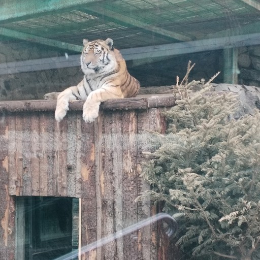 Денис32, Мга