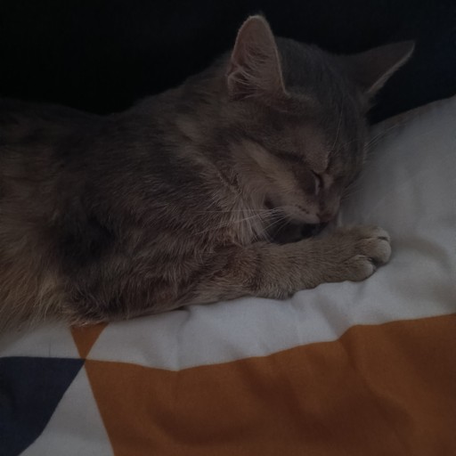 Антон21, Шерегеш