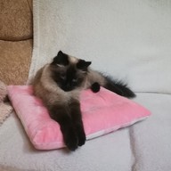 Владимир, 57 лет, Братск