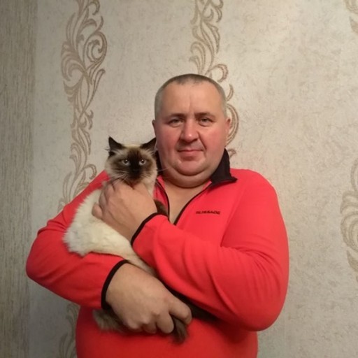 Владимир, 57 лет, Братск