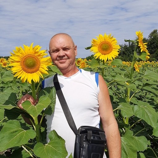 Андрей61, Шиханы