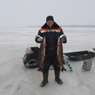 Алексей, 38 лет, Хвойная