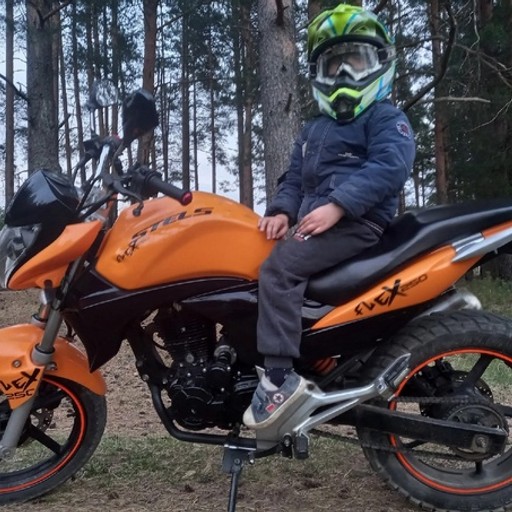 Алексей, 41 год, Красногородск