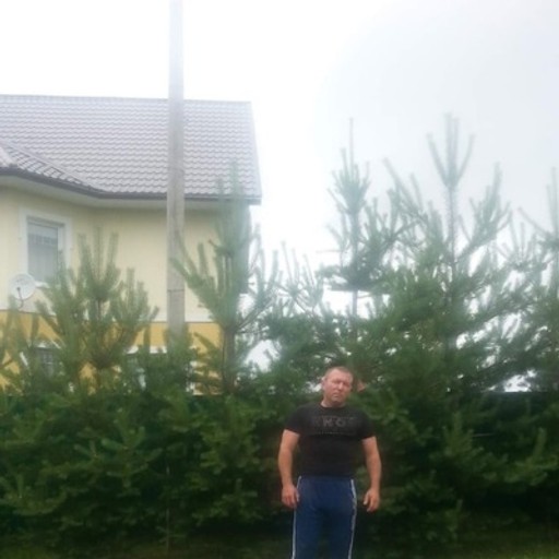 Виктор, 51 год, Истра