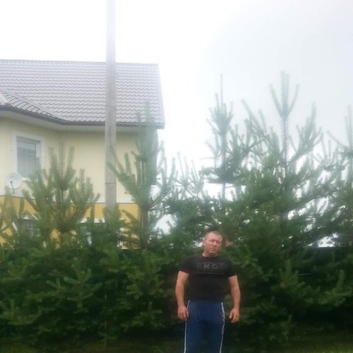 Виктор, 51 год, Истра
