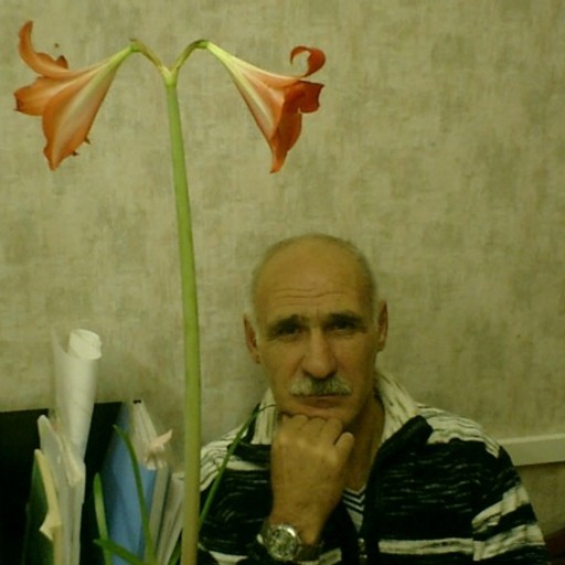 Анатолий, 69 лет, Архангельск