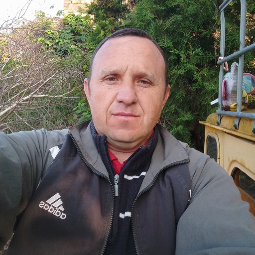 Михаил, 42 года, Великая Лепетиха