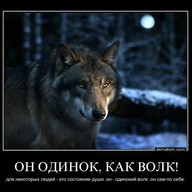 Сергей, 43 года, Ленинск-Кузнецкий