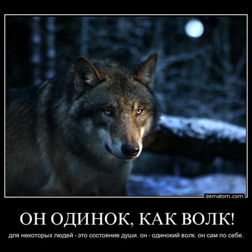 Сергей, 43 года, Ленинск-Кузнецкий