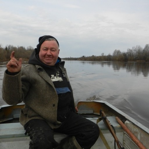 Черемных, 61 год, Сыктывкар