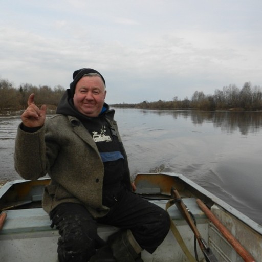 Черемных, 61 год, Сыктывкар