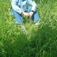 Дмитрий, 57 лет, Москва