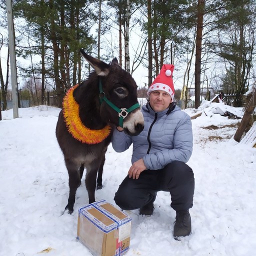 Михаил, 50 лет, Володарск