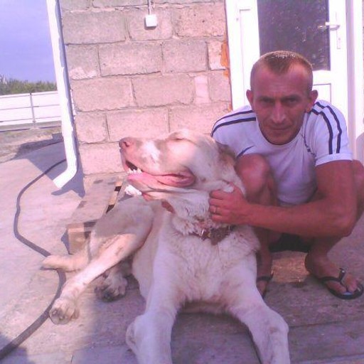 Виталий, 43 года, Жуковский