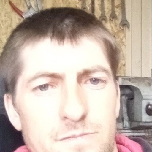 Денис, 38 лет, Электросталь